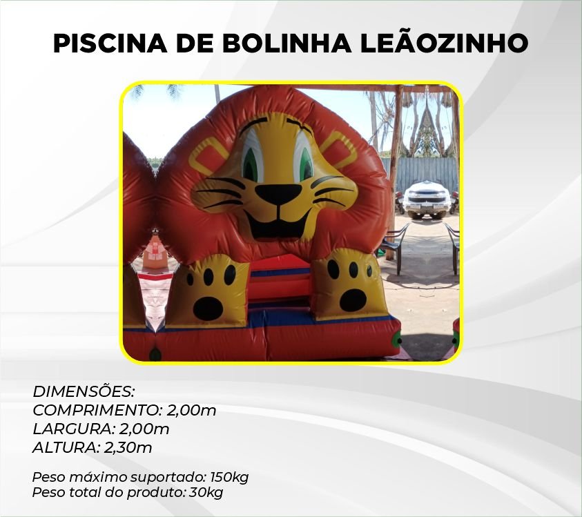 PISCINA DE BOLINHA LEÃOZINHO