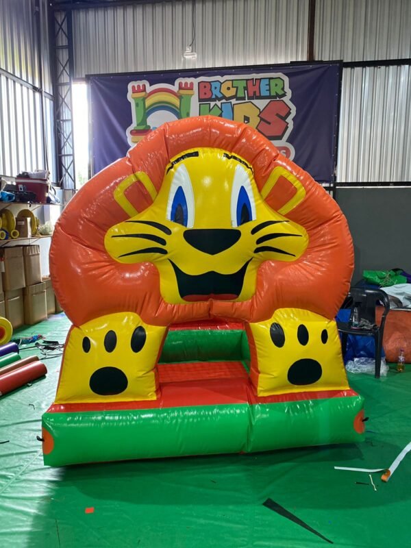 PISCINA DE BOLINHA LEÃOZINHO