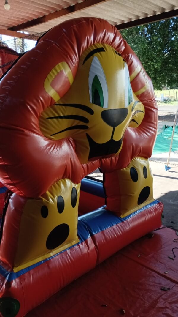 PISCINA DE BOLINHA LEÃOZINHO - Image 5