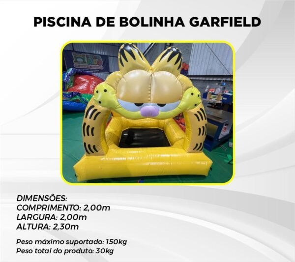 PISCINA DE BOLINHA GARFIELD