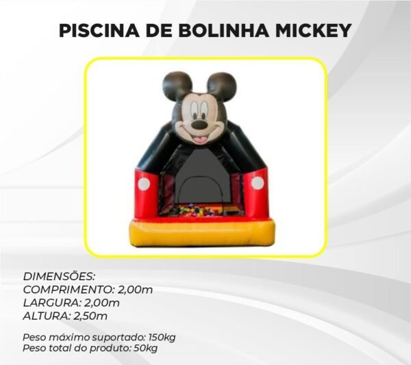 PISCINA DE BOLINHA MICKEY