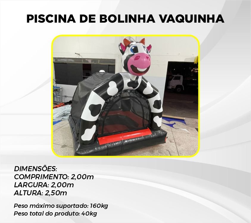 PISCINA DE BOLINHA VAQUINHA