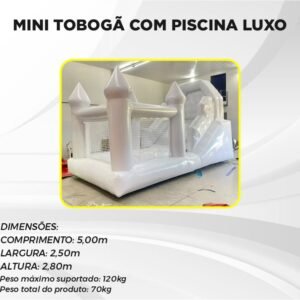 Mini tobogã com piscina Luxo